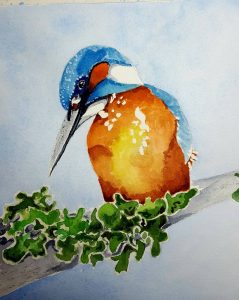 bird watercolor by artist Jullane Rich