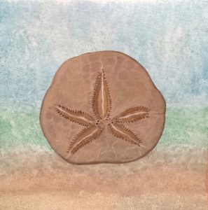 Read more about the article Sand Dollar Serenity – Dec 16