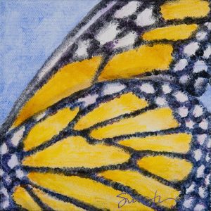 Read more about the article Monarch Wing – Fri. May 25