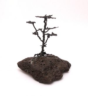 Fletch Grylls FletchGryllsIMG_6855